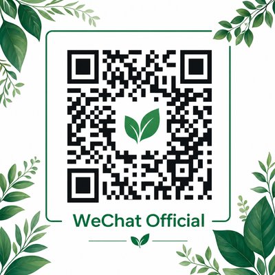 麻豆传媒公众号二维码